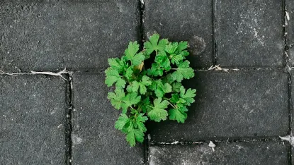 カジノ デポジット ウィン モバイルアプリ